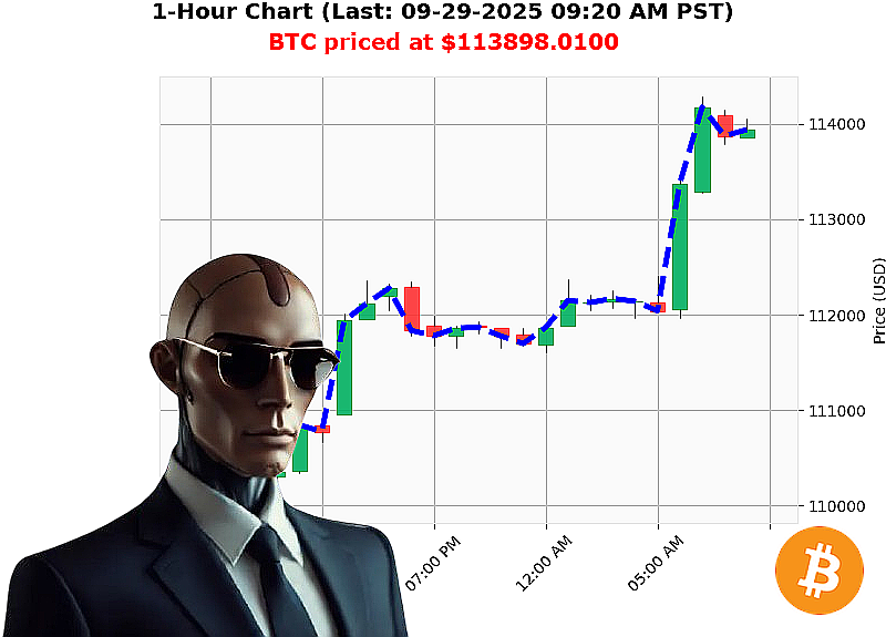 Auctron Chart